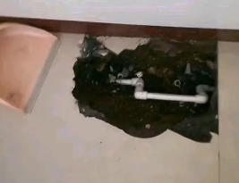 乌伊岭卫生间测漏水多少钱